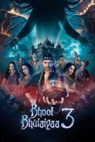 Bhool Bhulaiyaa 3 (2024) Download 480p, 720p, 1080p, 4k