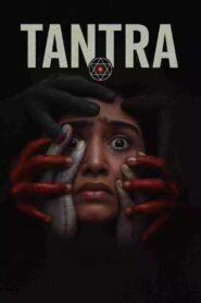 Tantra (2024) [Hindi ORG] WEB-DL 480p, 720p & 1080p 