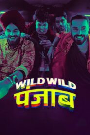 Wild Wild Punjab (2024) Full Movie wmov.site