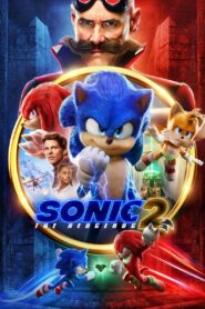 Sonic the Hedgehog 2 (2022) Watch & Download in Dual Audio