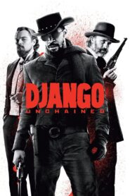 Django Unchained (2012) Dual Audio, 480p,720p,1080p [MEGA]