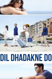 Dil Dhadakne Do (2015) Hindi, Online Watch Available