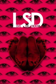 LSD: Love, Sex aur Dhokha ( 2010) Watch Full Movie