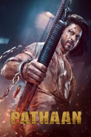 Pathaan (2023) Hindi, Online Watch Available