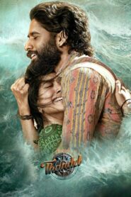 Thandel (2025) Download Hindi Dubbed