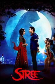 Stree (2018) Watch & Download | WEB-DL 480p, 720p & 1080p