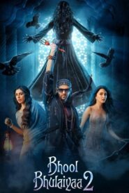 Bhool Bhulaiyaa 2 (2022) Watch & Download All Quality