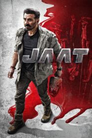 Jaat (2025) Hindi WEB-DL 480p, 720p & 1080p