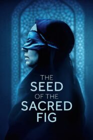 The Seed of the Sacred Fig (2024) Dual Audio [Hindi ORG & Persian] WEB-DL 480p, 720p & 1080p |