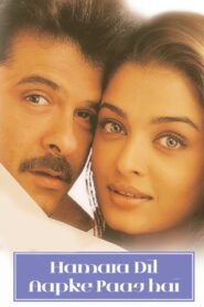 Hamara Dil Aapke Paas Hai (2000) Hindi, Online Watch Available