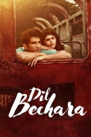 Dil Bechara (2020) Hindi, 360p,720p,1080p,1440p,2160p, [MEGA]