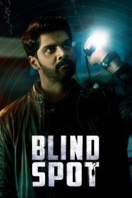Blind Spot (2025) Dual Audio [Hindi ORG & Telugu] WEB-DL 480p, 720p & 1080p |