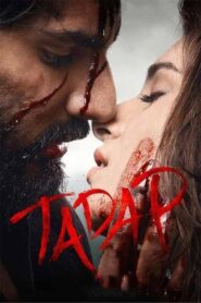 Tadap (2021) Hindi, 480p,720p, [MEGA]
