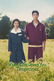 When Life Gives You Tangerines (2025) Hindi Dubbed