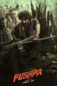 Pushpa – The Rise (2021) Watch & Download