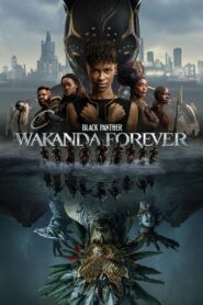 Black Panther: Wakanda Forever (2022) Watch & Download in Dual Audio
