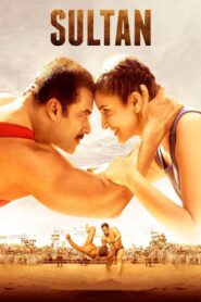 Sultan (2016) Hindi, Online Watch Available