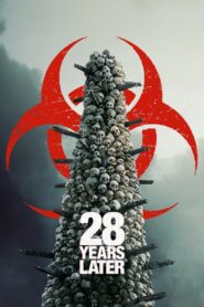 28 Years Later (2025) Dual Audio, {Hindi Dubbed & ENG} 480p,720p,1080p, [MEGA]