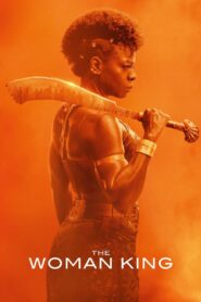 The Woman King (2022) Watch In Dual Audio