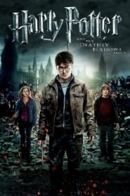 Harry Potter and the Deathly Hallows: Part 2 (2011) Dual Audio, 480p,720p,1080p, [MEGA]