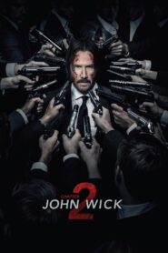John Wick (2017) Chapter 2: Dual Audio, {Hindi & ENG} 480p,720p,1080p, [MEGA]