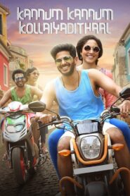 Kannum Kannum Kollaiyadithaal (2020) Dual Audio [Hindi ORG & Tamil] WEB-DL 480p, 720p & 1080p |
