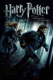 Harry Potter and the Deathly Hallows: Part 1 (2010) Dual Audio, 480p,720p,1080p, [MEGA]