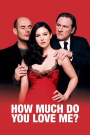 How Much Do You Love Me? (2005) BluRay 480p, 720p & 1080p |