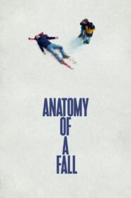 Anatomy of a Fall (2023) Dual Audio, {Hindi Dubbed & French} 480p,720p,1080p, [MEGA]