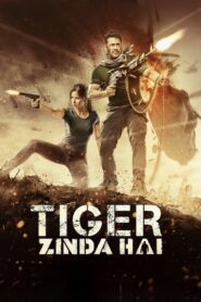 Tiger Zinda Hai (2017) Hindi, 480p,720p,1080p, [MEGA]