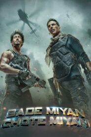 Bade Miyan Chote Miyan (2024) Hindi, 480p,720p,1080p, [MEGA]