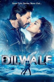 Dilwale (2015) Hindi, Online Watch Available