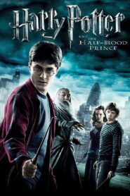 Harry Potter and the Half-Blood Prince (2009) Dual Audio, 480p,720p,1080p, [MEGA]