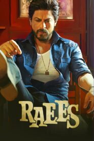 Raees (2017) Hindi, Online Watch Available