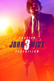 John Wick (2019) Chapter 3 – Parabellum: Dual Audio, {Hindi & ENG} 480p,720p,1080p [MEGA]