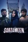Sarzameen (2025) Hindi Dubbed, 480p,720p,1080p [MEGA]