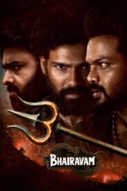 Bhairavam (2025) Dual Audio, {Telegu & Hindi Dubbed} 480p,720p,1080p [MEGA]