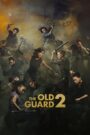 The Old Guard 2 (2025) Dual Audio, {English & Hindi Dubbed} 480p,720p,1080p [MEGA]